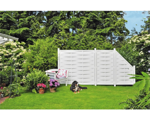 Scène de jardin avec clôture blanche, banc et chien