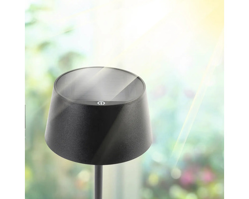 Lampe solaire noire pour jardin