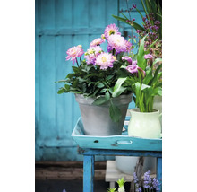 Arrangement avec des dahlias dans un pot sur une table