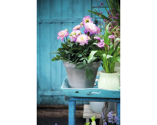 Arrangement avec des dahlias dans un pot sur une table