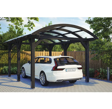 Abri de voiture avec véhicule dans le jardin