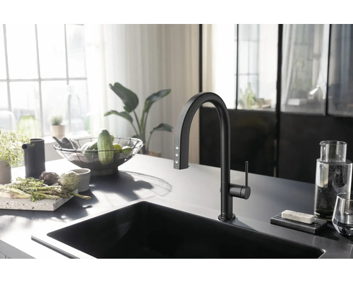 Moderne Küche mit schwarzem Spülbecken und Wasserhahn, ergänzt durch frisches Gemüse und Kräuter.