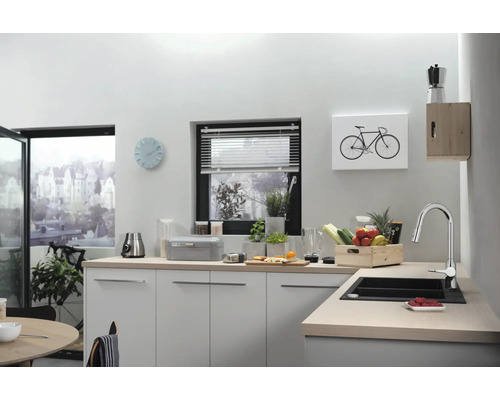 Cuisine claire avec évier, robinet, fenêtre et décorations