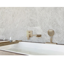 Salle de bain avec baignoire, robinetterie et pommeau de douche