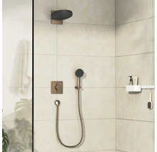 Badezimmer mit Duscharmatur, Handbrause und Ablageregal.
