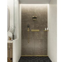 Badezimmer mit Dusche, braunen Fliesen und goldenen Armaturen
