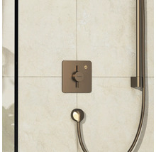 Hansgrohe Duscharmatur-Set mit Handbrause und Thermostat