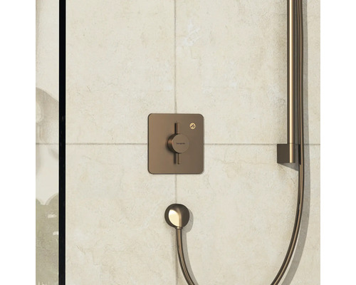 Ensemble de robinetterie de douche Hansgrohe avec douchette à main et thermostatique