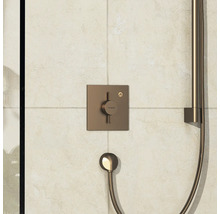 Brausegarnitur mit Aufputzmontage und Handbrause an einer gefliesten Wand
