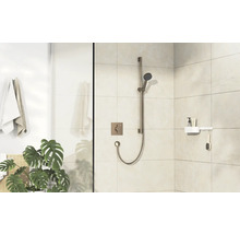 Badezimmer mit Dusche, Duscharmatur, Handtüchern und Pflanze