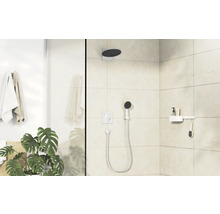 Salle de bain moderne avec douche, robinetterie et plantes