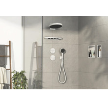 Espace douche avec pomme de tête, douchette à main et surfaces de rangement dans le mur
