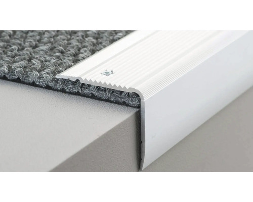 Profil de bordure d''escalier en aluminium avec tapis