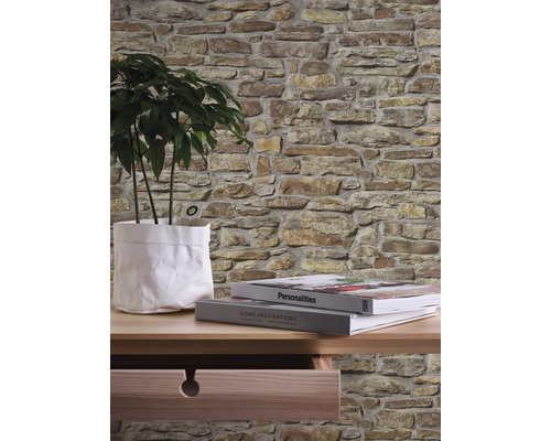 Décoration murale avec papier peint aspect pierre, table, plante d''intérieur et livres.