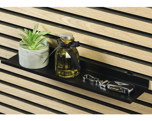 Dekorative Zimmerpflanze, Duftflakon und Schlüssel auf einem schwarzen Wandregal vor einer Holzwand