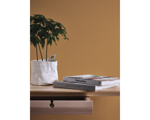 Dekorative Zimmerpflanze in weißem Papierbeutel neben Büchern auf einem Nachttisch