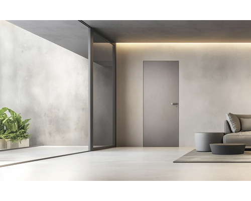 Salon moderne avec porte, canapé et plante d''intérieur