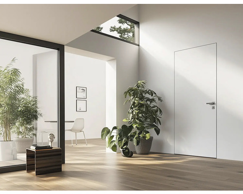 Pièce lumineuse avec plancher en bois, plante et porte intérieure blanche