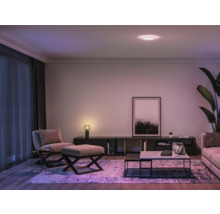 Modernes Wohnzimmer mit Deckenleuchte, Sitzmöbeln und Dekorationen.