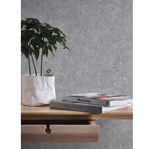 Vliestapete 39656-5 Stories of Life Uni grau silber