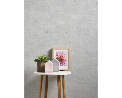 Gros plan d''un mur avec un papier peint gris, d''une table avec une plante grasse, de deux maisons décoratives et d''une photo encadrée.