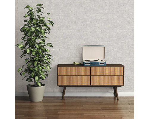 Pièce décorative avec plante, commode et tourne-disque pour une ambiance chaleureuse