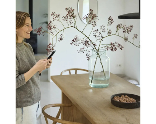 Intérieur lumineux avec femme tenant un smartphone, table en bois avec décoration, vase en verre et chaises.