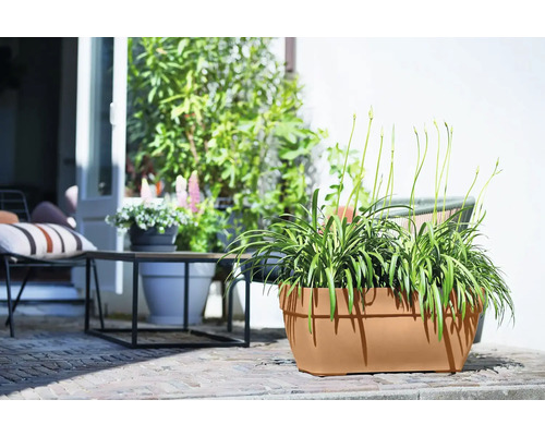 Beiges Pflanzgefäß mit Bepflanzung im Außenbereich.