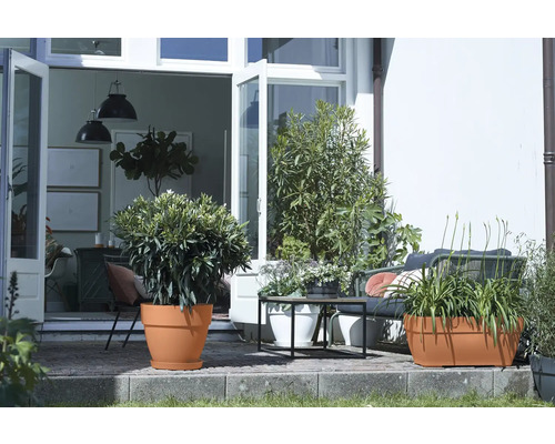 Terrasse mit Pflanzen in Pflanzgefäßen, Sitzgelegenheiten und offenem Zugang zum Haus.