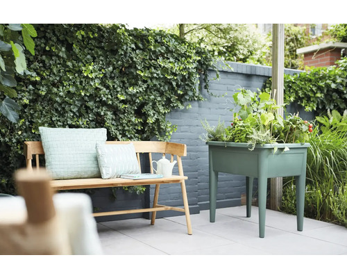 Scène de jardin avec banc en bois, coussins et jardinière plantée