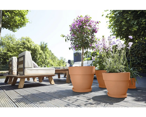 Terrasse mit Möbeln und bepflanzten Blumentöpfen