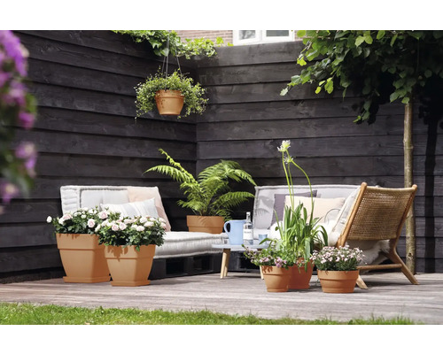 Terrassenszene mit Pflanzen in Töpfen, Gartenmöbeln und Holzwand