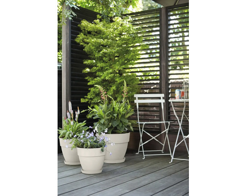 Terrasse mit Pflanzen in Blumentöpfen, Gartenmöbeln und Sichtschutz