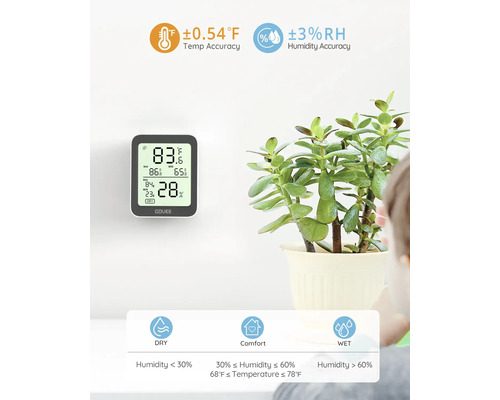 Thermomètre et hygromètre numériques avec affichage de la température et de l''humidité à côté d''une plante d''intérieur