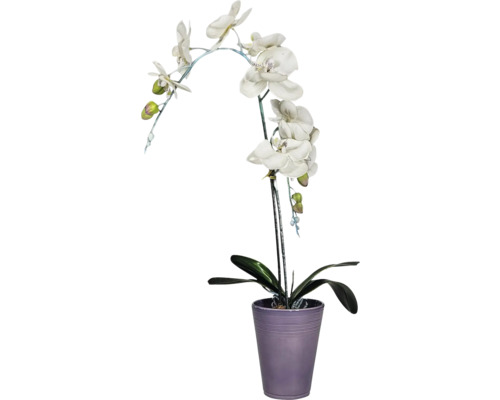 Orchidée décorative en pot