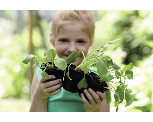 Une fille tient des plants de radis en pots.