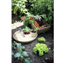 Blumentopf Untersetzer elho Green Basics Kunststoff Ø 14 H 2 cm creme