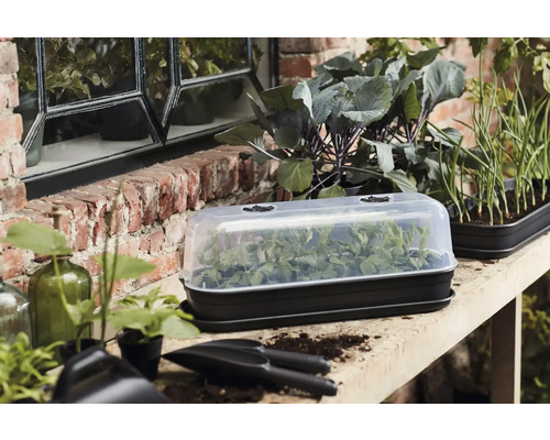 Mini-serre avec terreau et plantes sur une table dans le jardin.