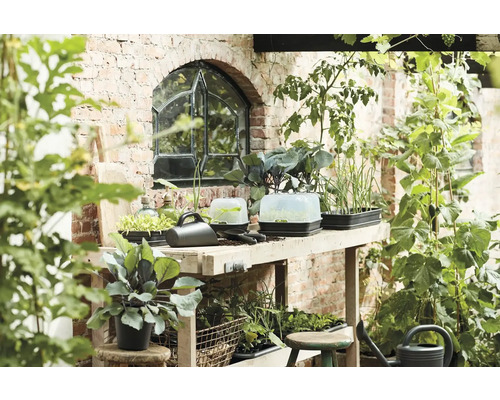 Table en bois avec plateaux de culture, arrosoir et petits outils de jardin devant un mur en briques