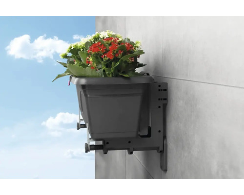 Grauer Blumenkasten mit Wandhalterung und bunten Blumen