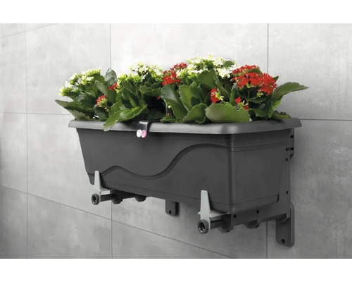 Wandbepflanzungskasten mit roten und weißen Blumen