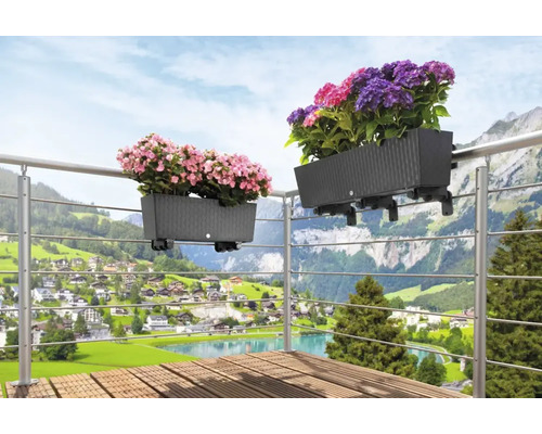 Balkonszene mit zwei bepflanzten Blumenkästen, die an einem Geländer hängen