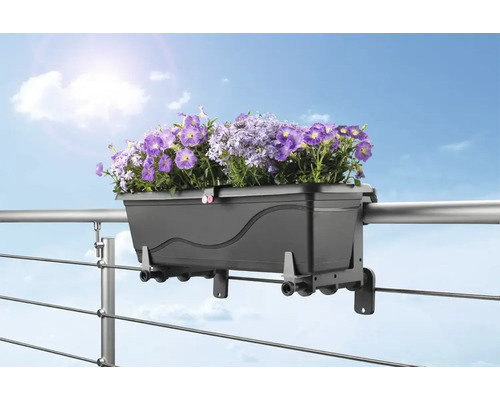 Blumenkasten mit lila Blumen am Balkongeländer