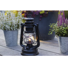 Lampe à pétrole décorative en métal sur une table en bois avec des plantes