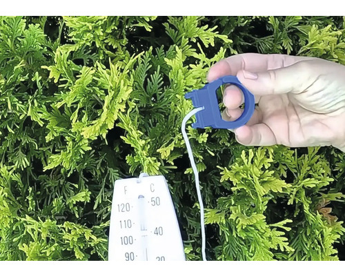 Thermomètre de jardin pour mesurer la température avec clip de fixation