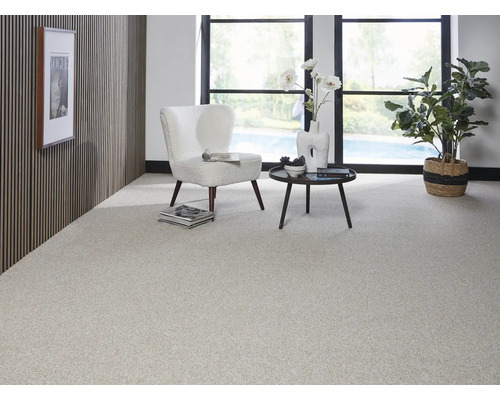 Espace de vie lumineux avec moquette, fauteuil et table