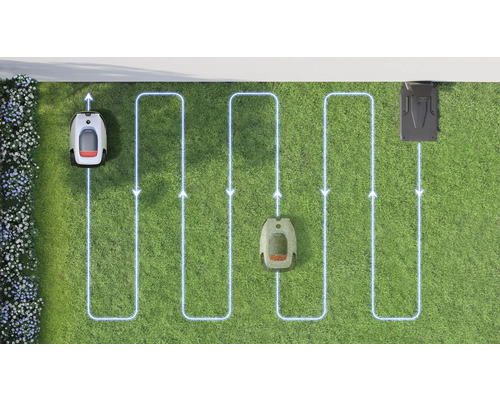 Gazon avec robot tondeuse, station de charge et câble de délimitation