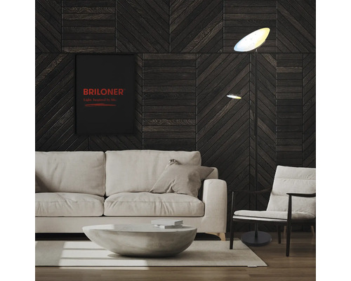 Wohnzimmer mit Stehlampe, Sofa, Sessel und Briloner Logo