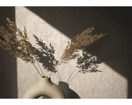 Graminées décoratives dans un vase devant un mur