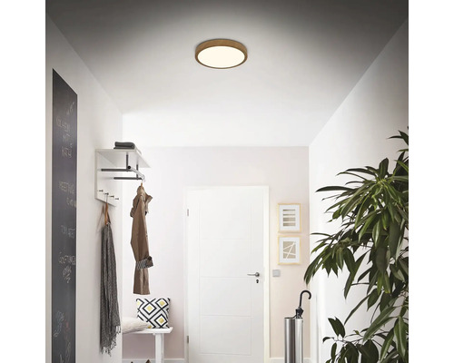Couloir avec plafonnier, porte-manteau, miroir et plante d''intérieur